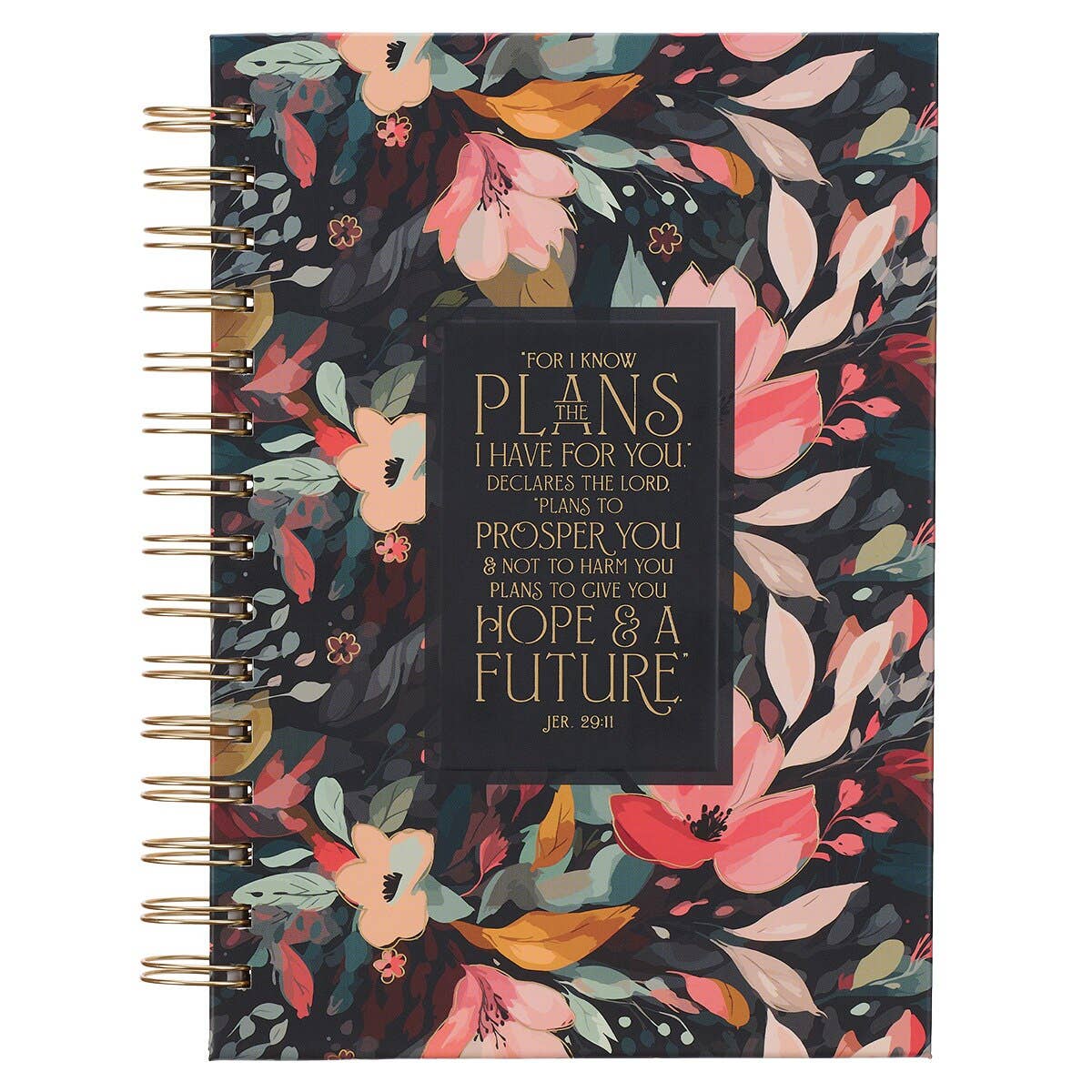 For I Know the Plans | Wire-bound Journal
